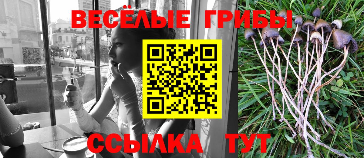 Псилоцибиновые грибы Psilocybine cubensis  Вход с VPN  Майкоп 