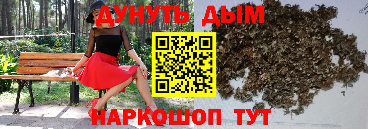 Каннабис гибрид  Бошки марихуана семена  Вход с VPN  Марихуана планчик  Майкоп  МАРИХУАНА SATIVA & INDICA 